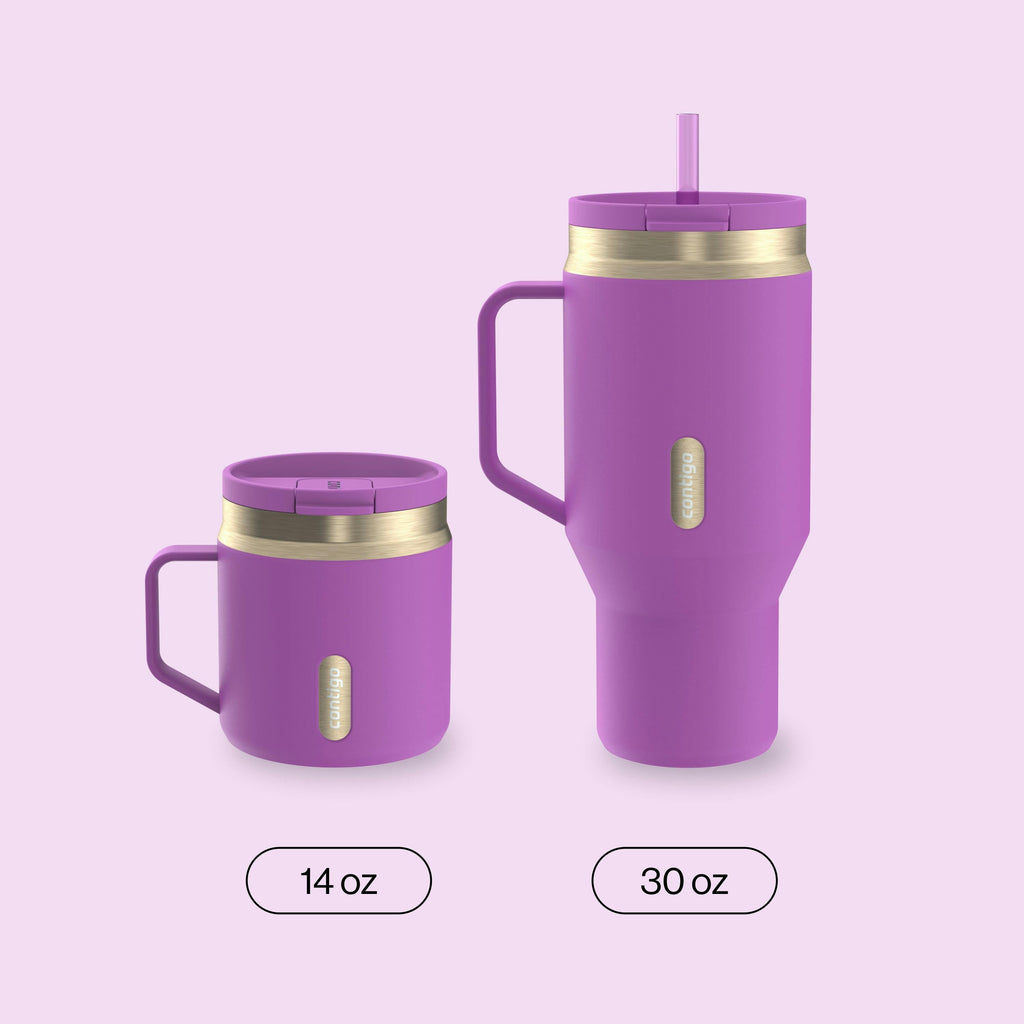 30 oz SnapSeal™ Tumbler (w/ Straw & Handle)